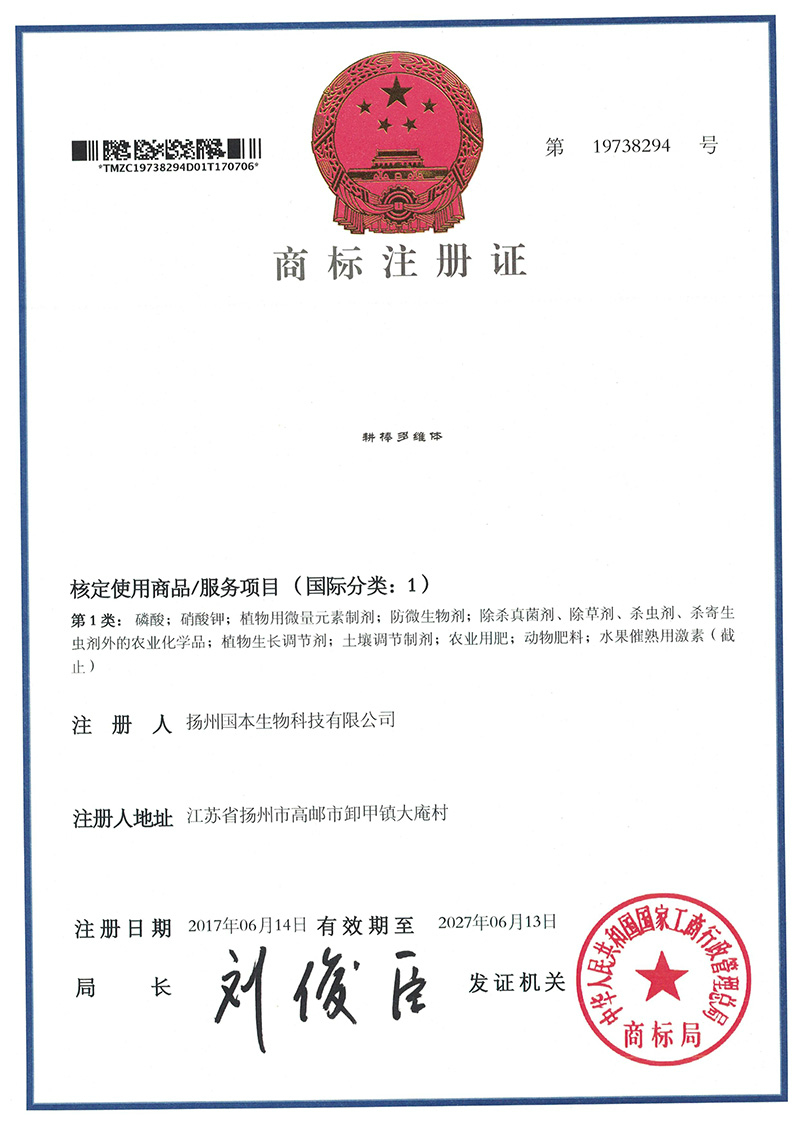 商标注册证 (耕棒多维体-国本)